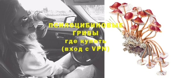 ГАЛЛЮЦИНОГЕННЫЕ ГРИБЫ Алексин