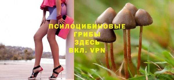 спиды Алзамай