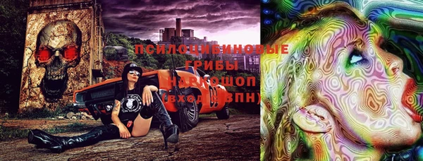 ешки Алексеевка
