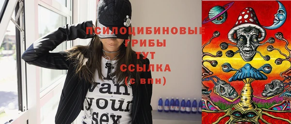 стафф Аркадак