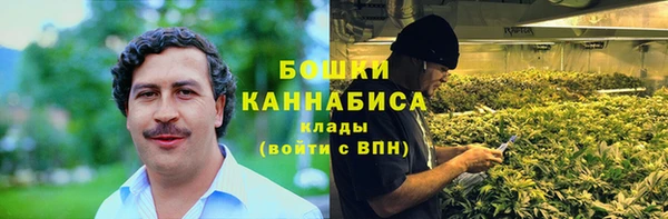 ГАЛЛЮЦИНОГЕННЫЕ ГРИБЫ Алексин
