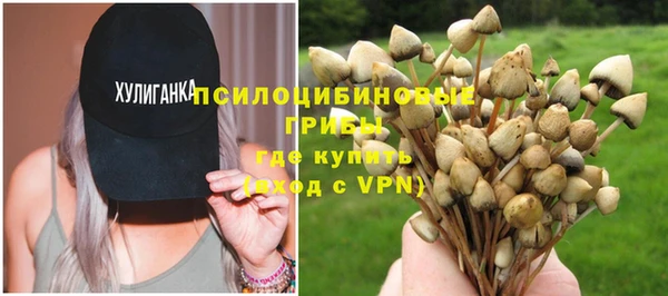 спиды Алзамай