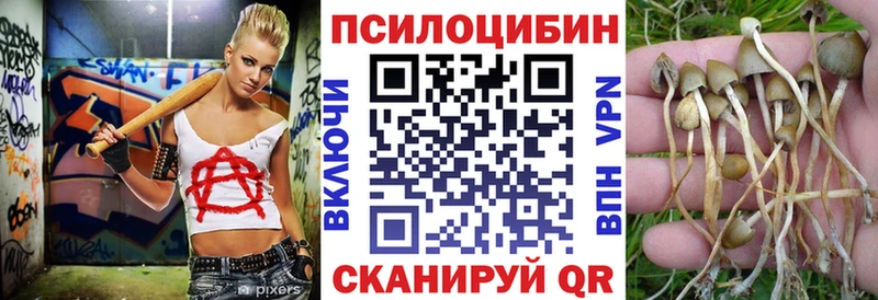 Псилоцибиновые грибы GOLDEN TEACHER  как найти   Нарткала 